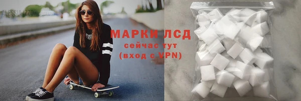 ГАЛЛЮЦИНОГЕННЫЕ ГРИБЫ Сосновка