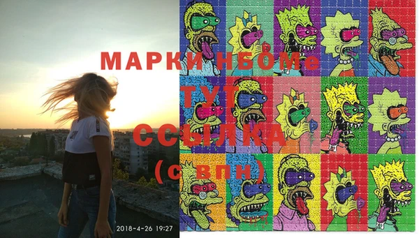 прущие грибы Сосновоборск