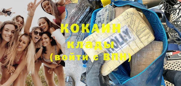 ГАЛЛЮЦИНОГЕННЫЕ ГРИБЫ Сосновка