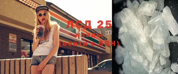 ПСИЛОЦИБИНОВЫЕ ГРИБЫ Сосновый Бор