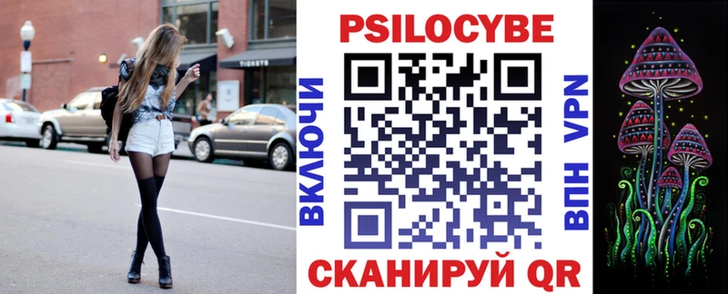 Купить где  Торопец  Галлюциногенные грибы Psilocybine cubensis 